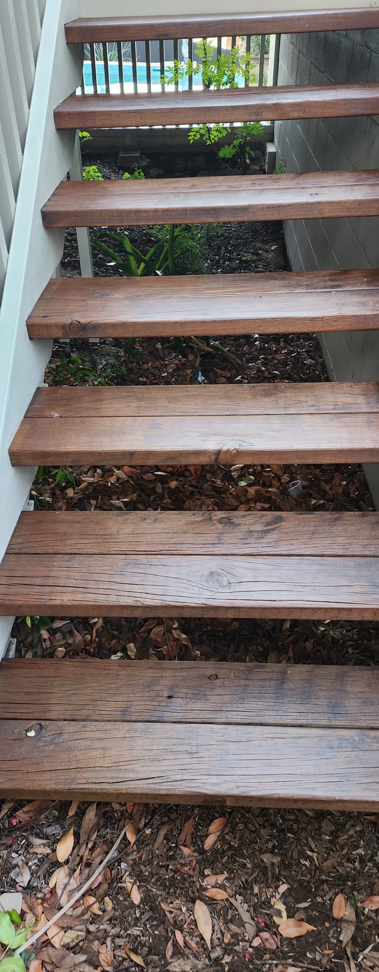 Staining of Steps and Handrails (11)