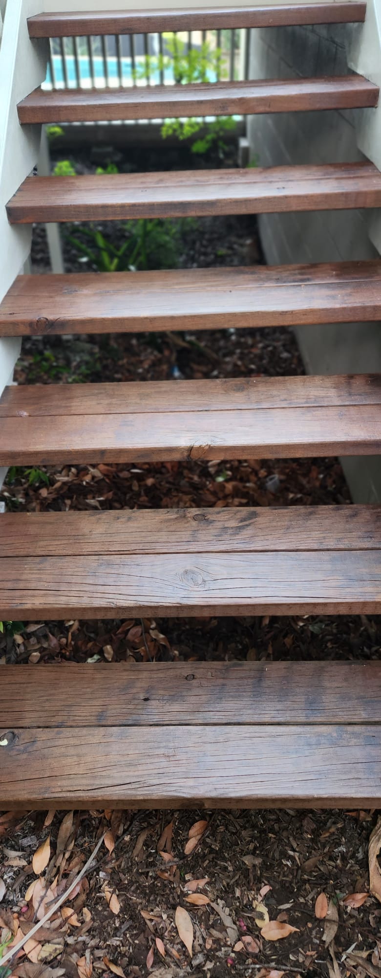 Staining of Steps and Handrails (9)